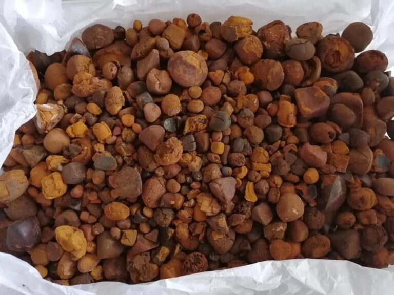 Cow Gallstone for Sale